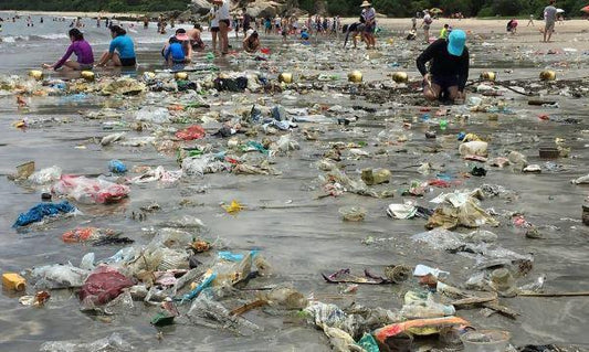 Zero Waste Program: la rivoluzione sostenibile dal 1 gennaio