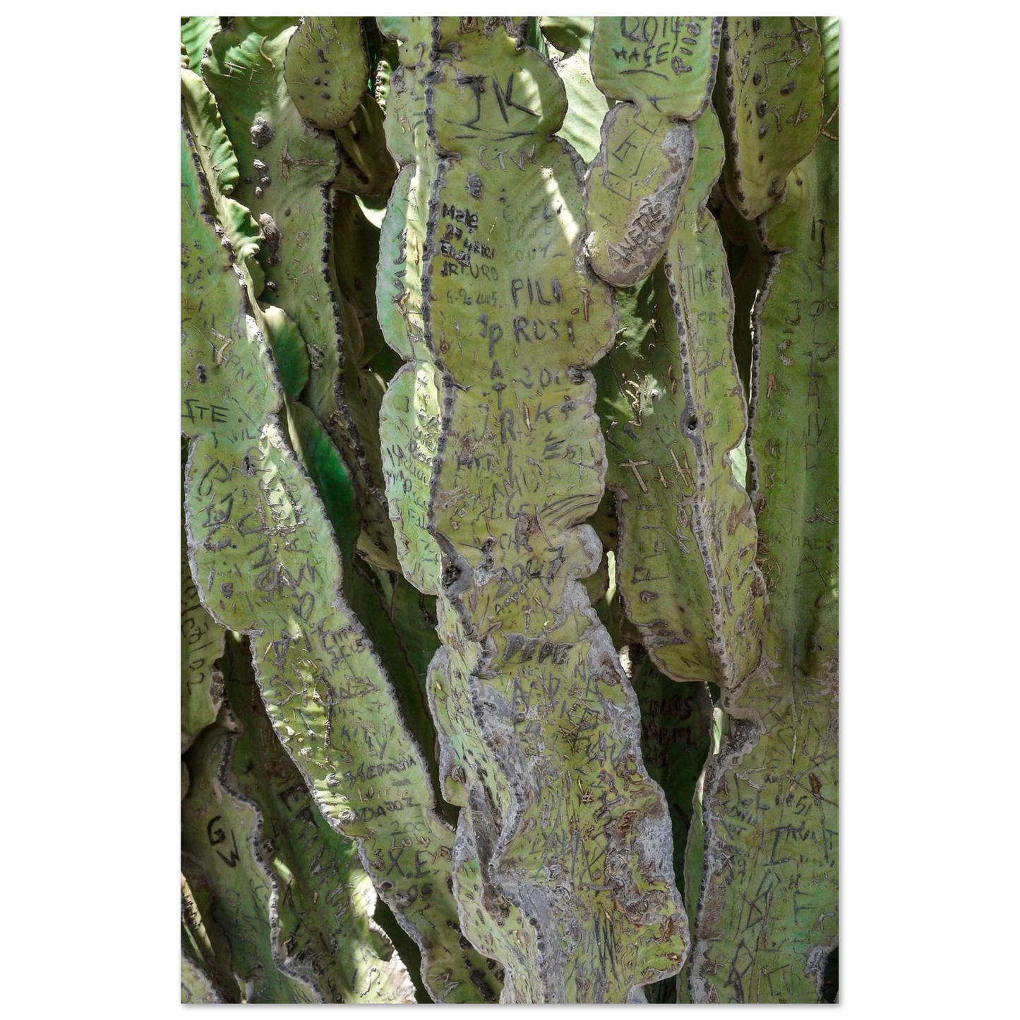 1e540a8f-e622-4816-bcca-9066dfef71c1