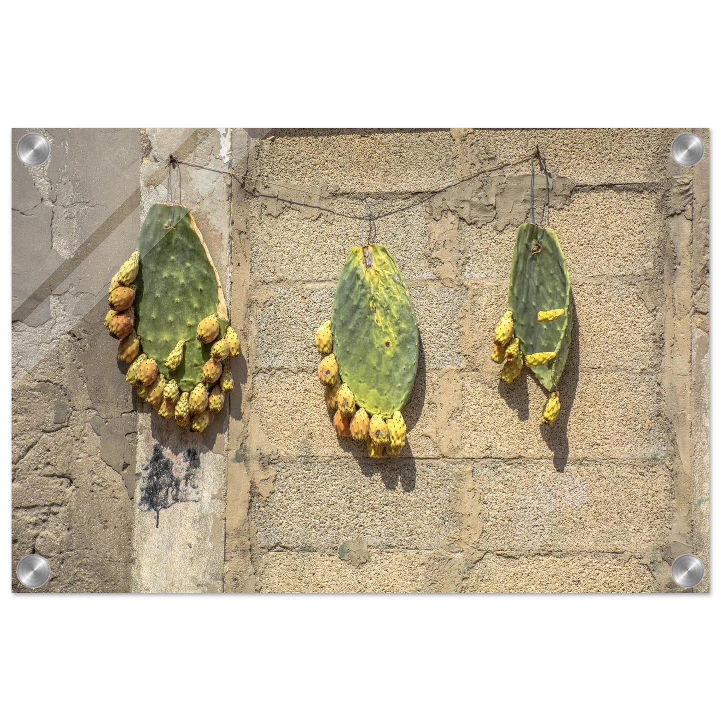 bf6c7c96-a335-45e0-bfcd-12e754929475