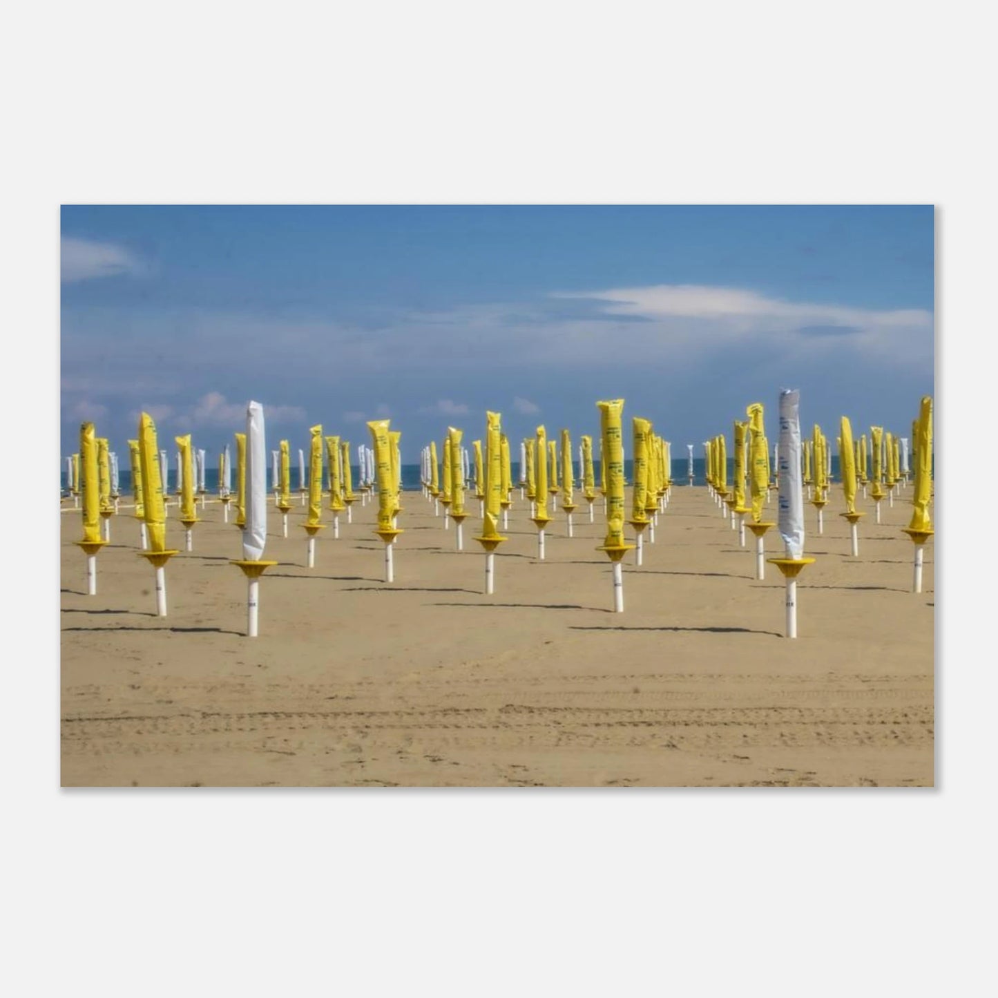 c1b8a39c-2ae6-451d-b0c9-d56401667145