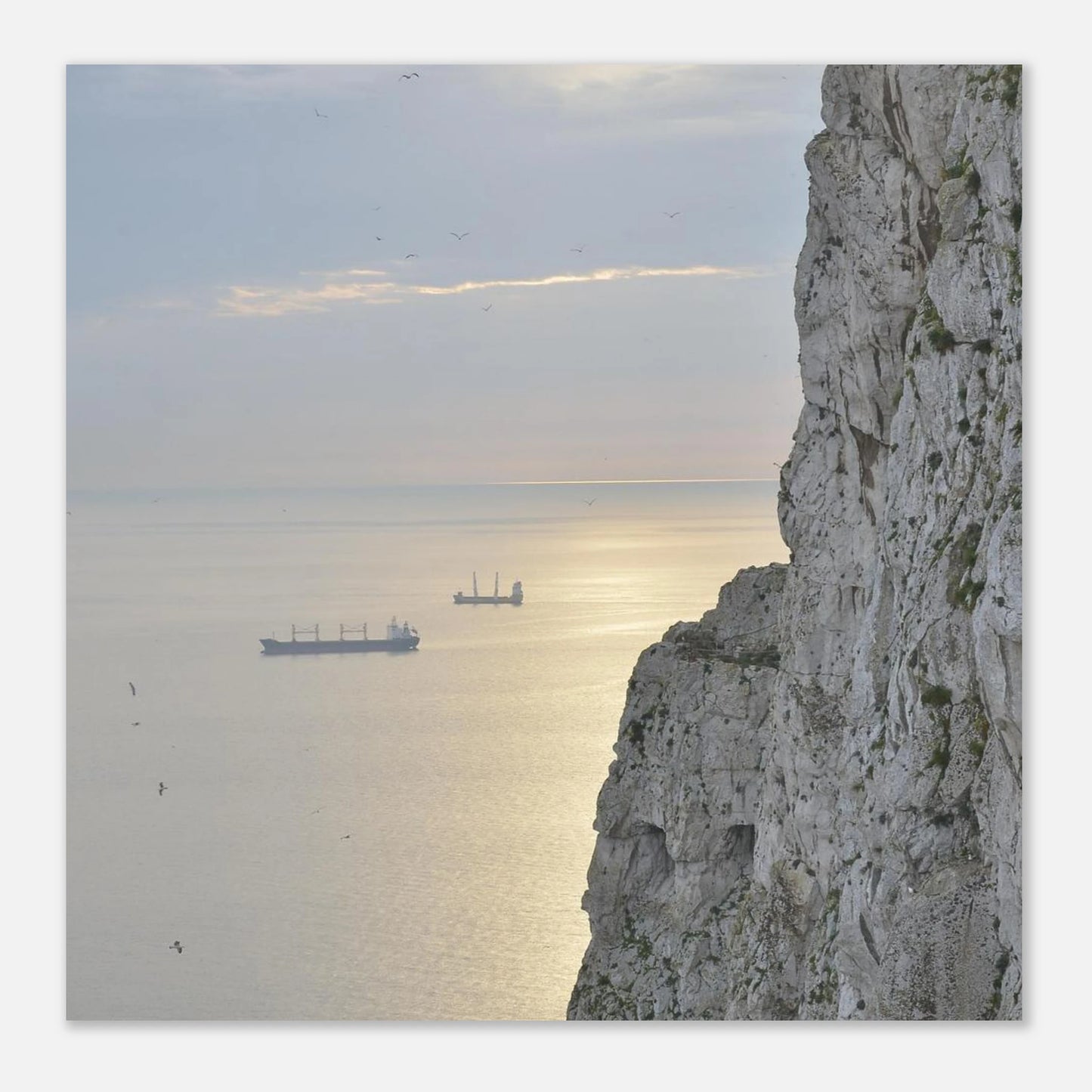 c69c3e3f-5ff4-411d-a361-4b88b67e1a3d