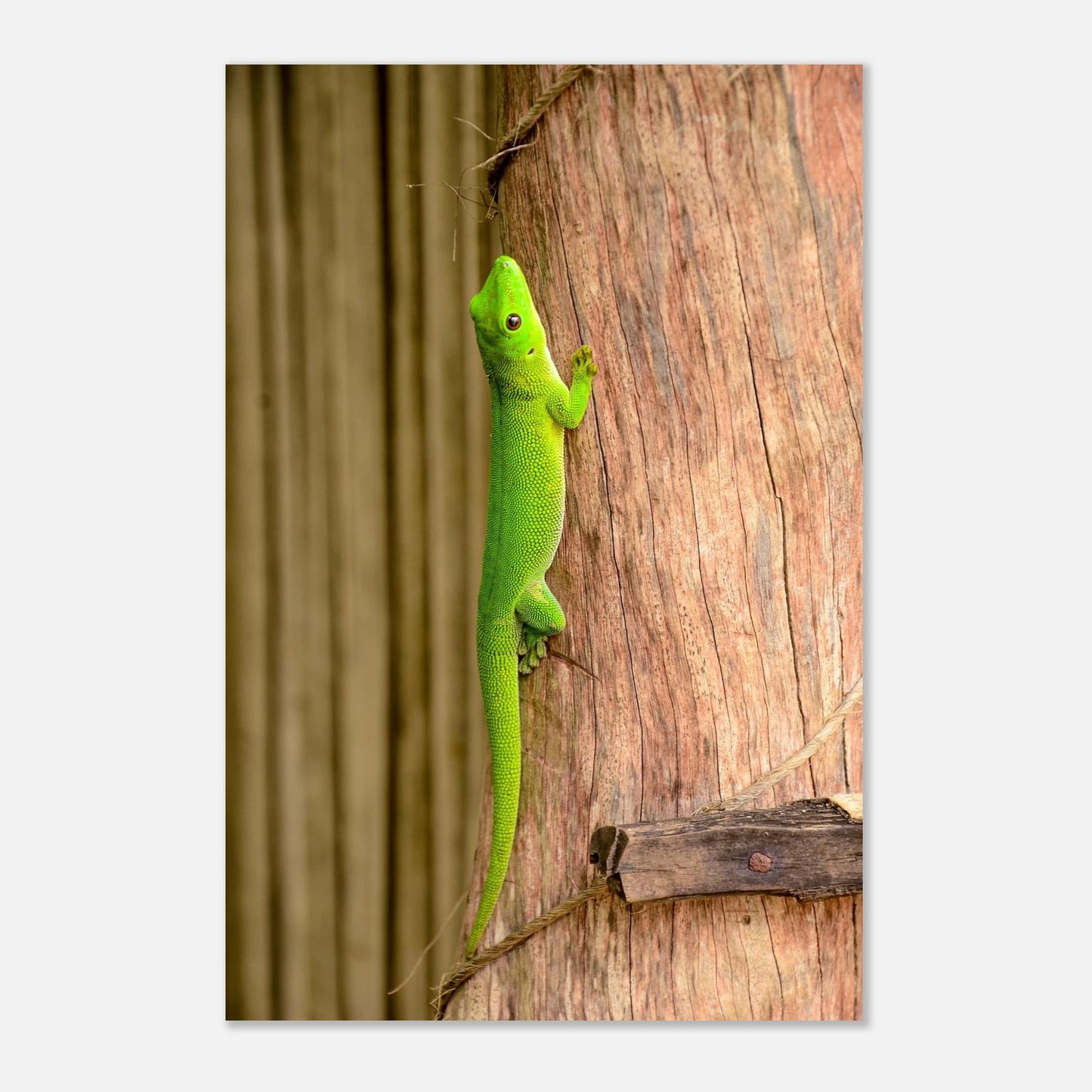 ee43f520-81dc-41d1-90c5-c2ef67fa3cf9