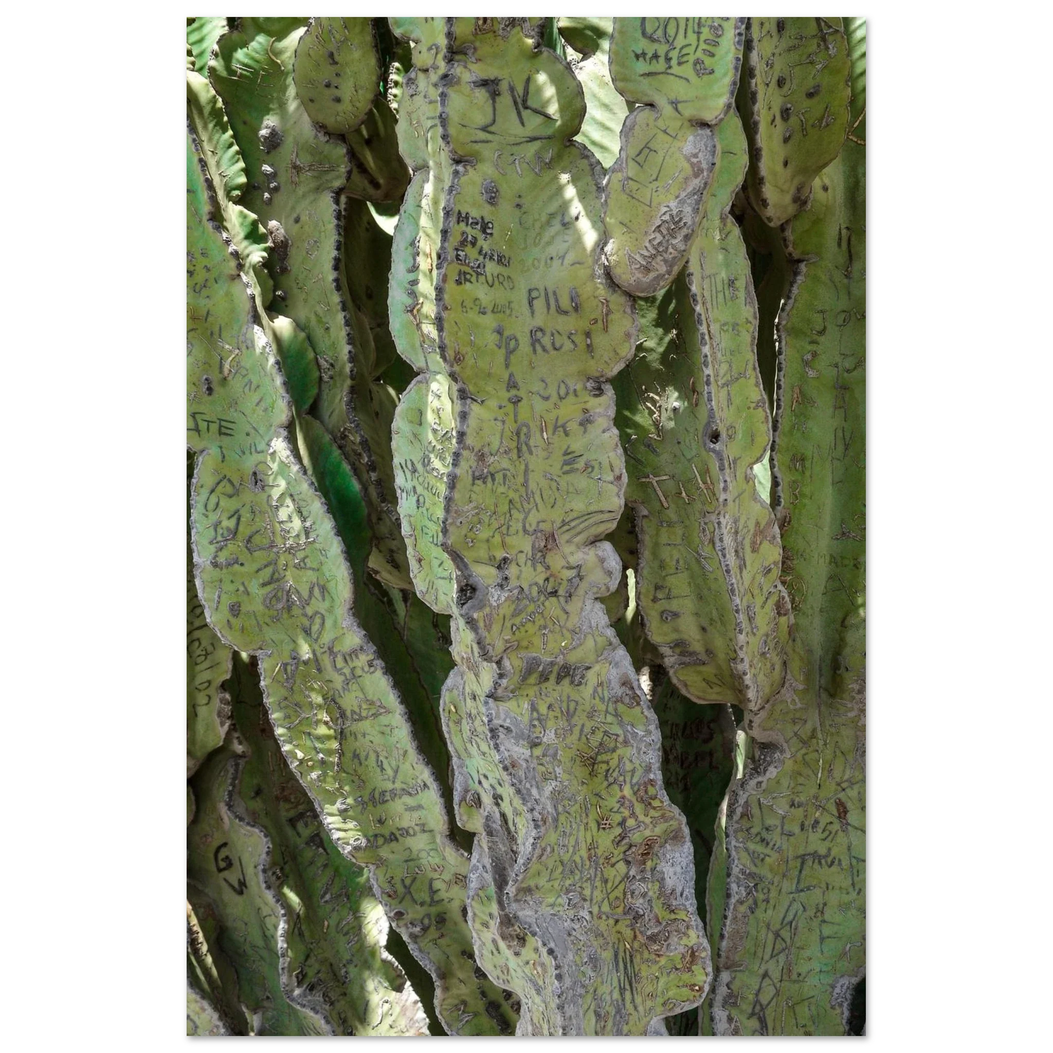 Scorci e Dettagli