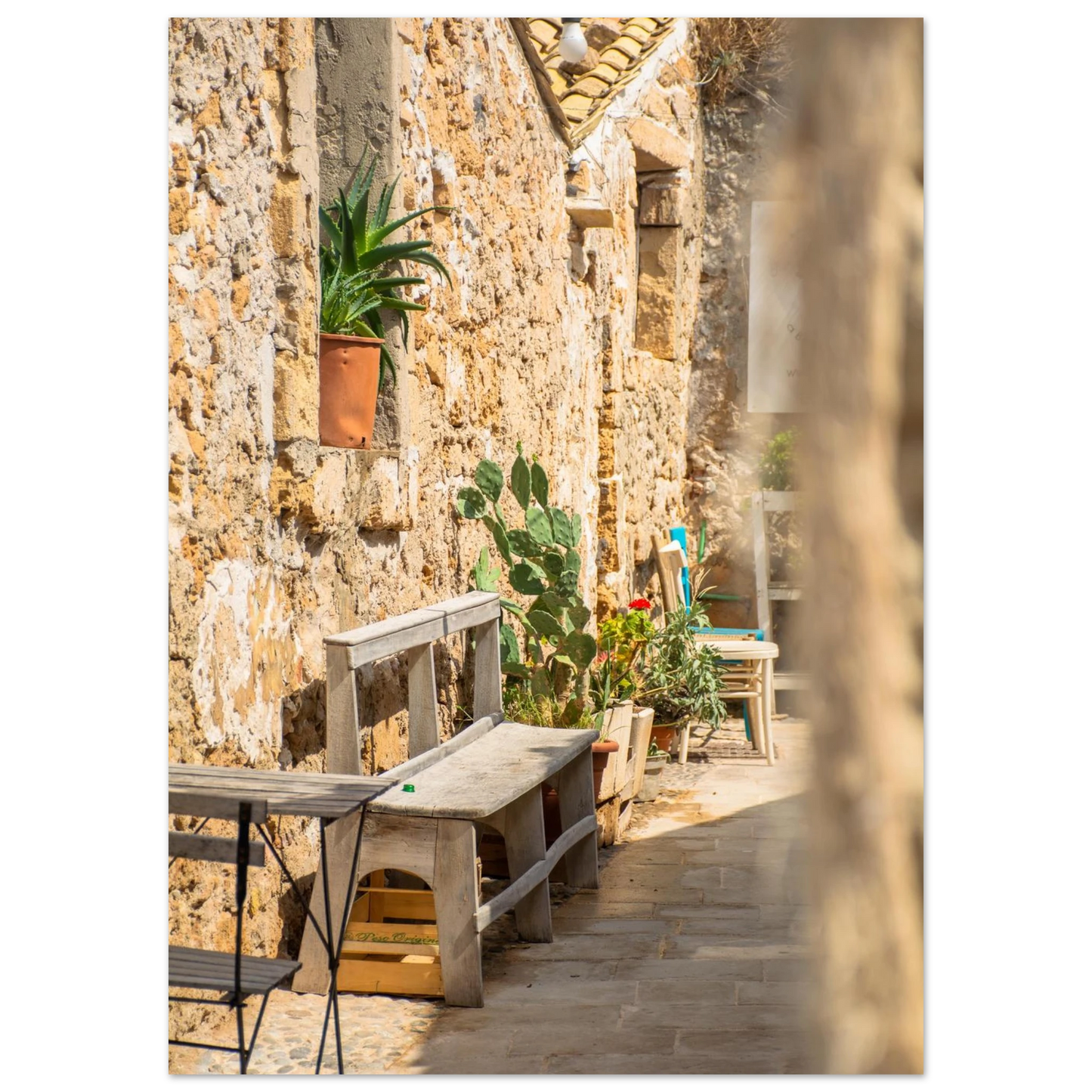 082066f9-d4eb-4113-a961-acfc6b954a41