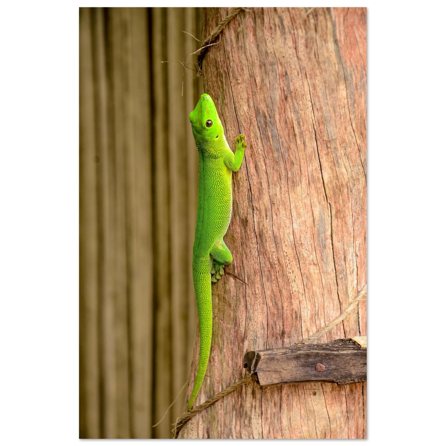 18d03517-292a-44c5-a788-1f0cdb4fefc3