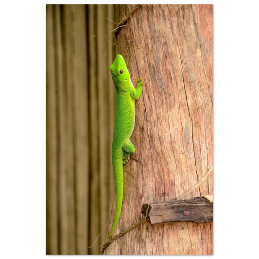 18d03517-292a-44c5-a788-1f0cdb4fefc3