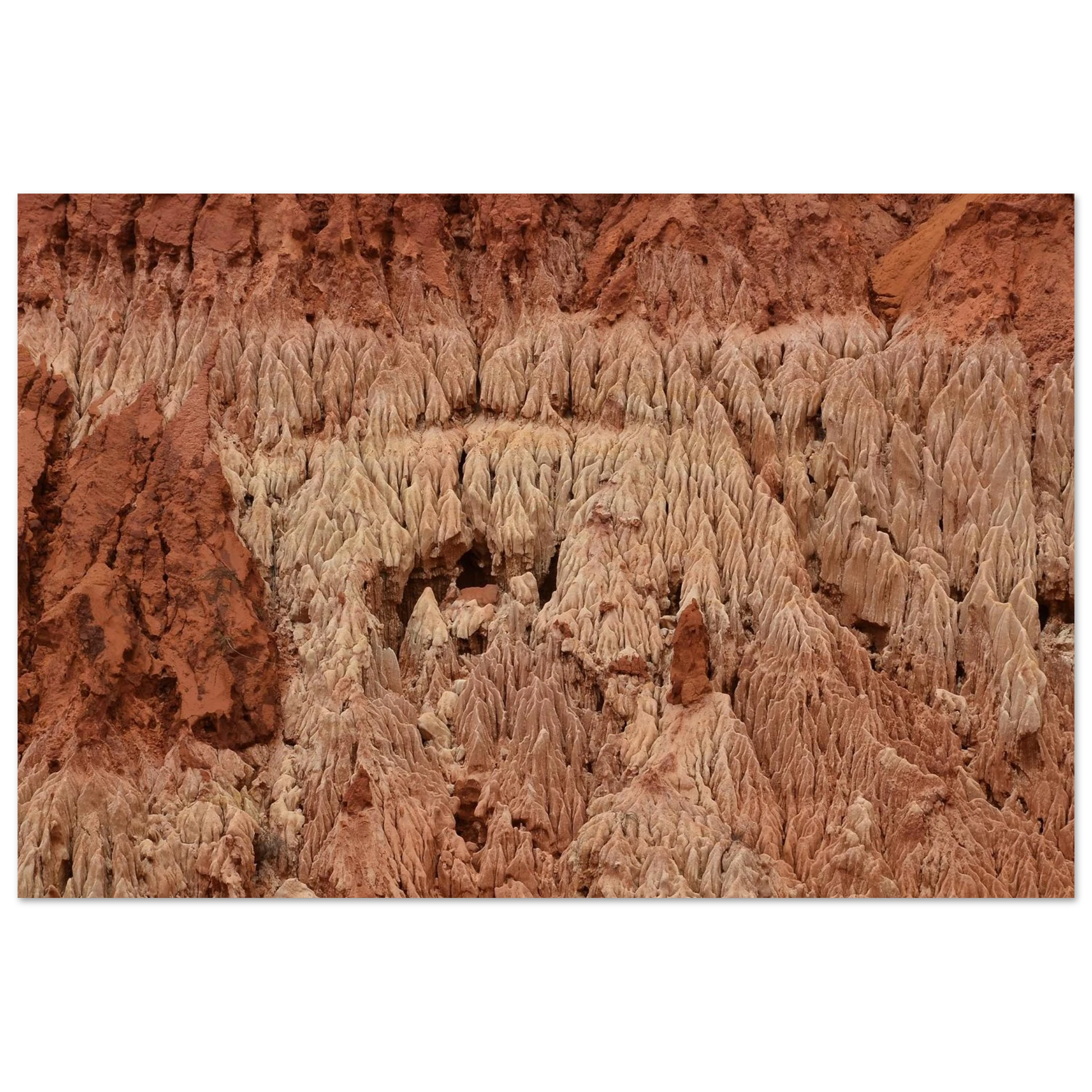 1c573169-dabb-4395-ba3e-fca995165eeb