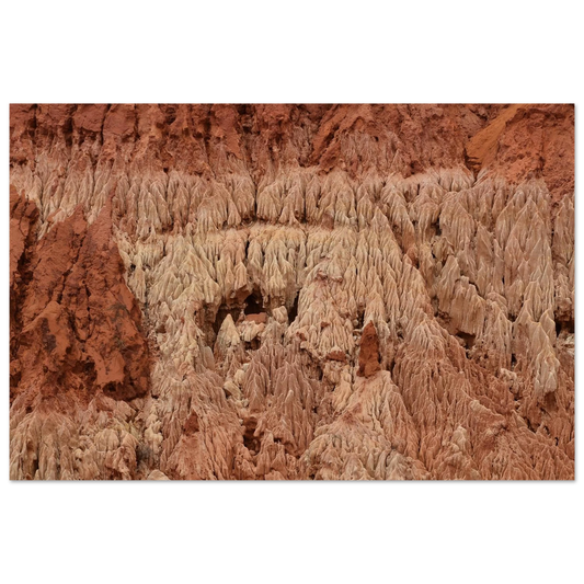 1c573169-dabb-4395-ba3e-fca995165eeb