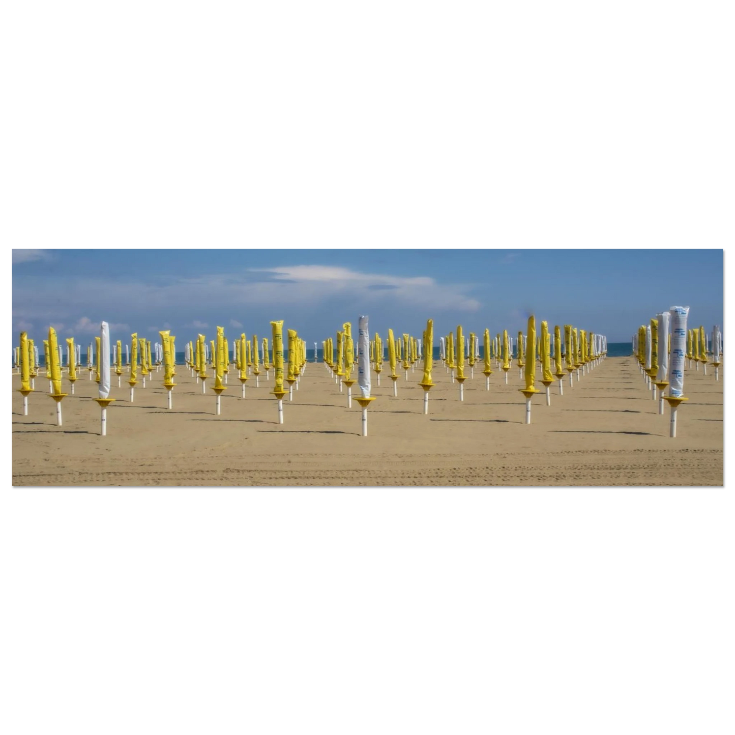 2996fbe5-bce7-4ea3-8112-84b00c597575