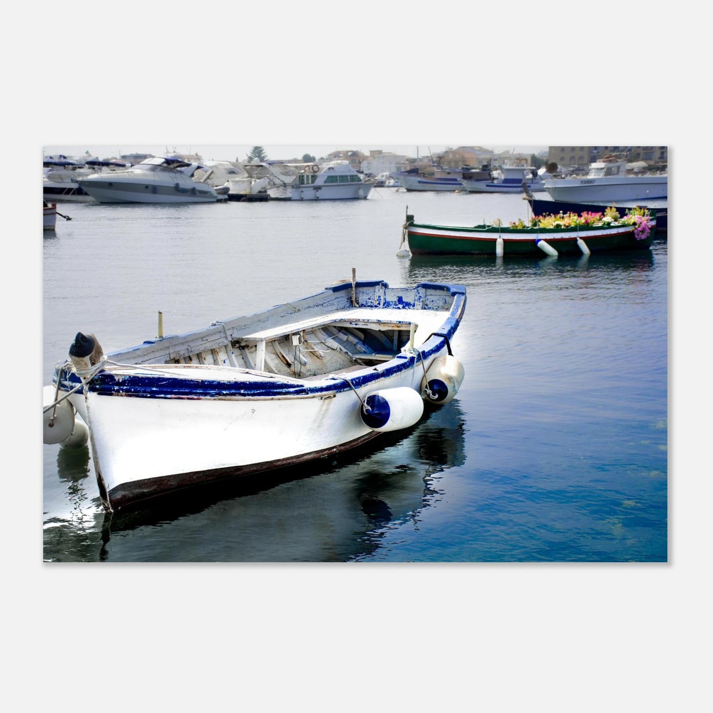 2ca619b5-6f25-4f37-8695-09c8054345a5