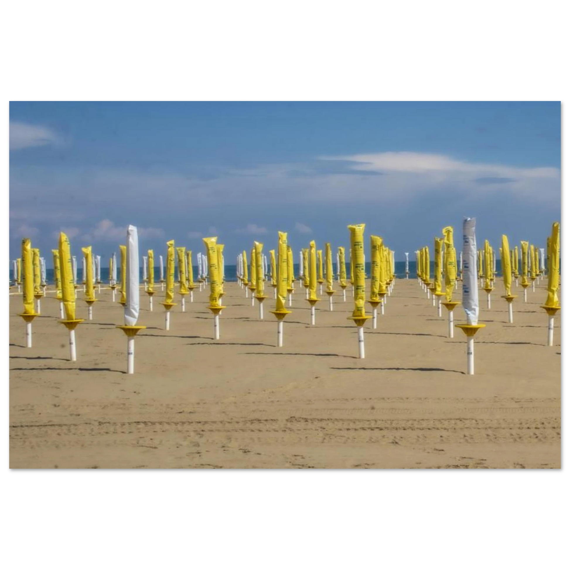 38f3265a-675c-4d00-adde-650b18083485