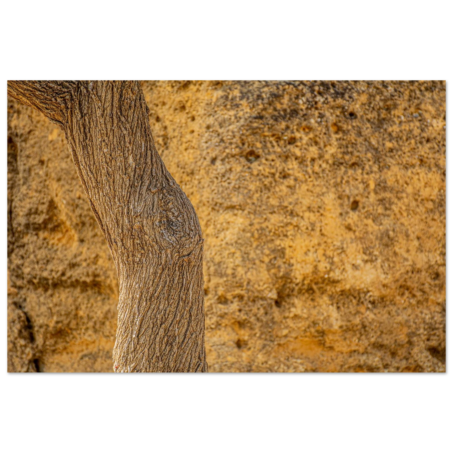 591bce37-da21-431e-9a9a-b940623d2acc