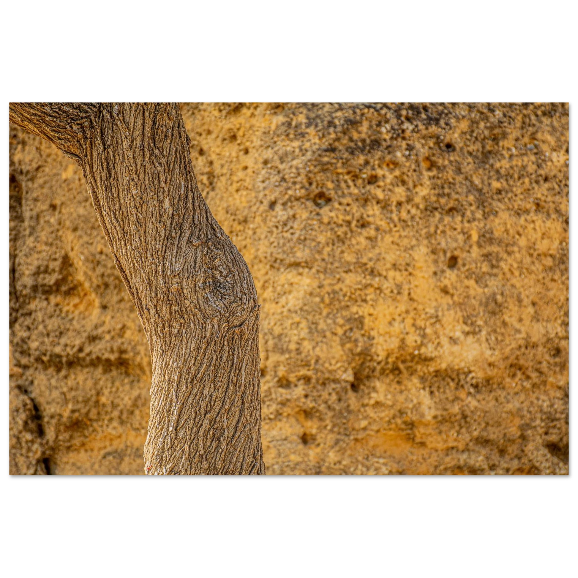 591bce37-da21-431e-9a9a-b940623d2acc