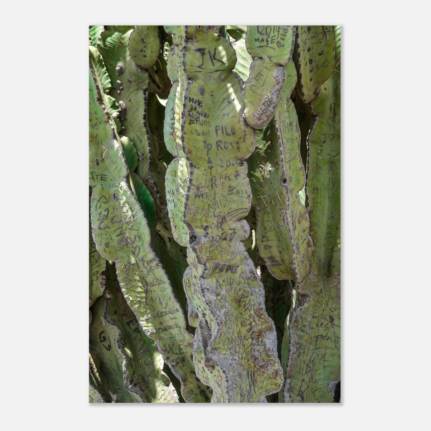 6d5358a9-16c9-4ab8-8855-3ef10613a59e