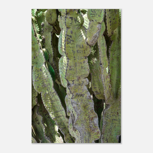 6d5358a9-16c9-4ab8-8855-3ef10613a59e