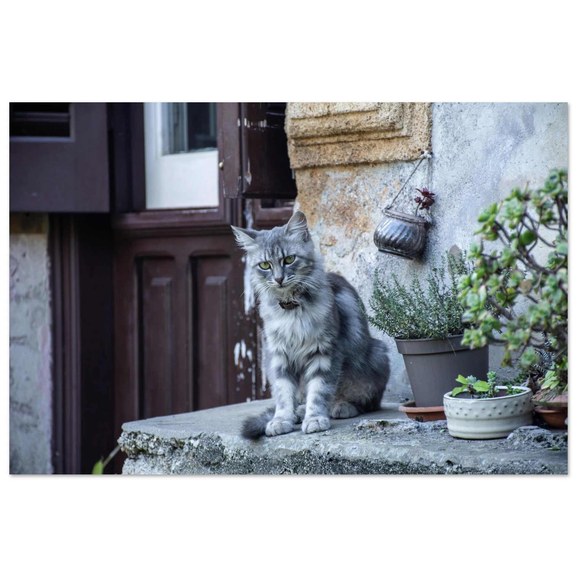 709ad9e9-2b37-48e1-bedd-94d7141a8771