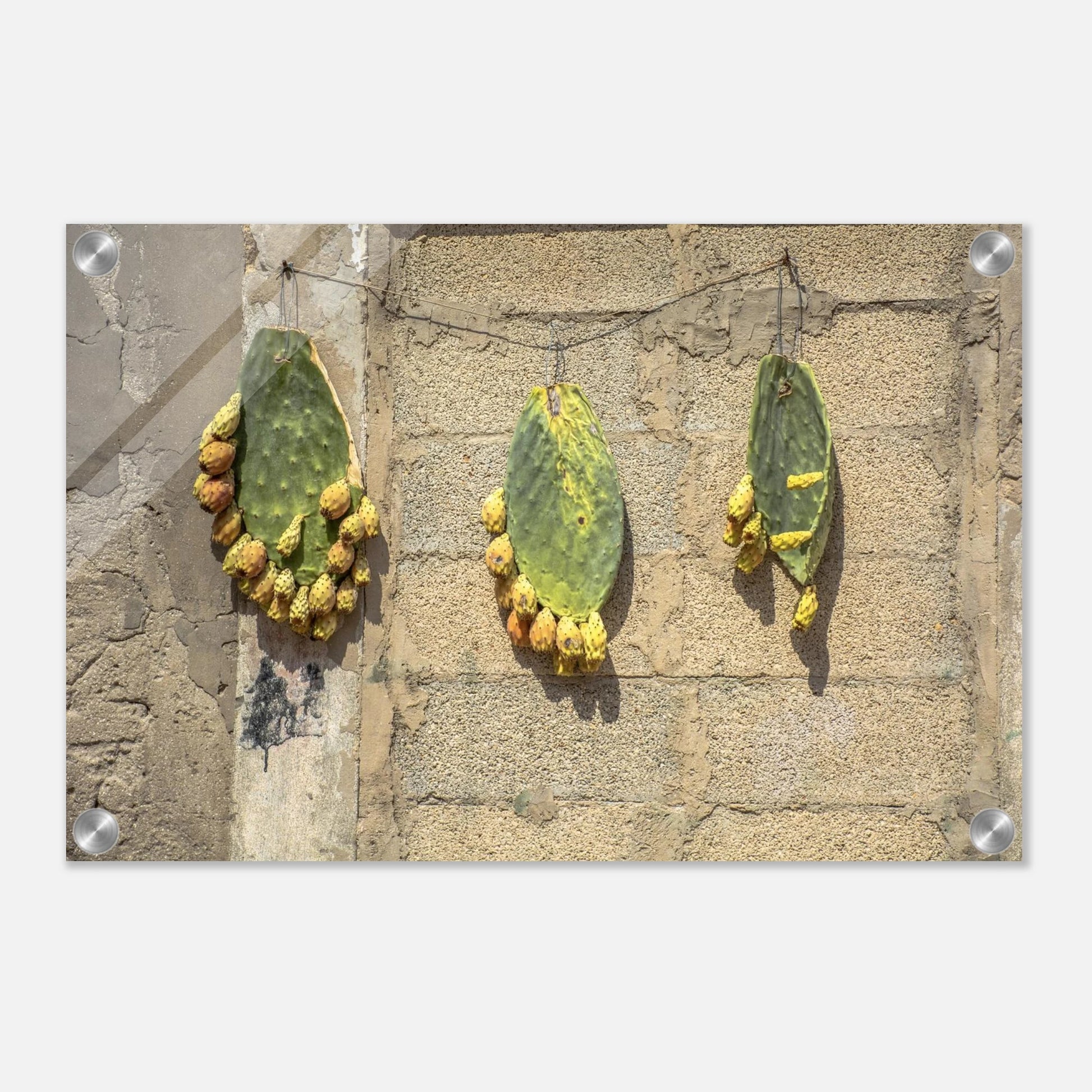 8ca1cd28-f8fd-43e3-809c-c6d9bca2183e