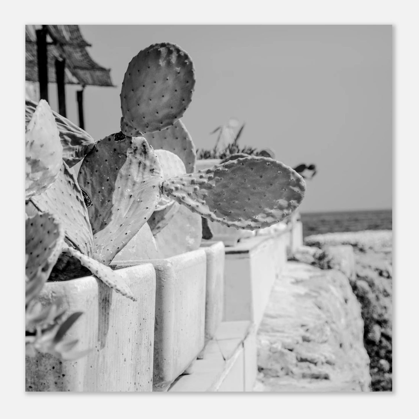 957b480a-0752-4e04-a028-fa18c8767260