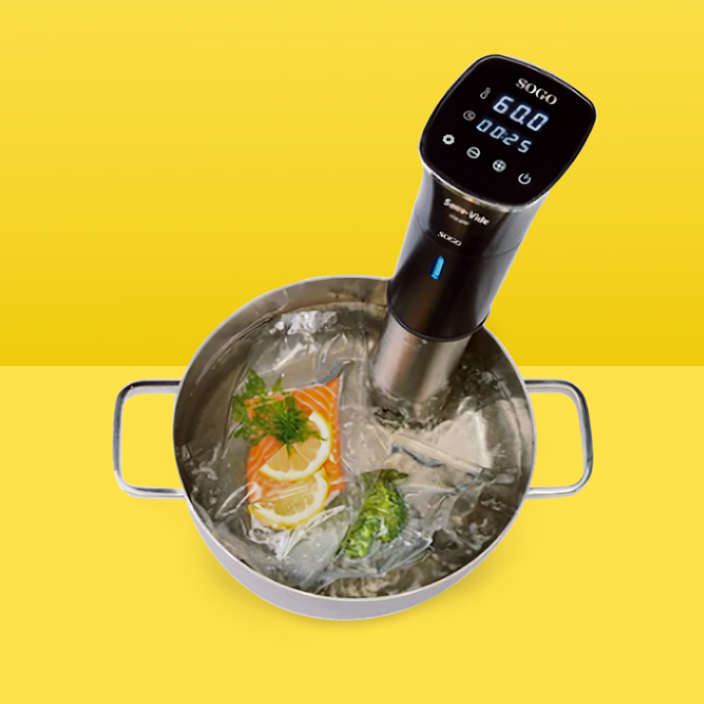 SOGO SOUS VIDE ÉLECTRIQUE 1200W