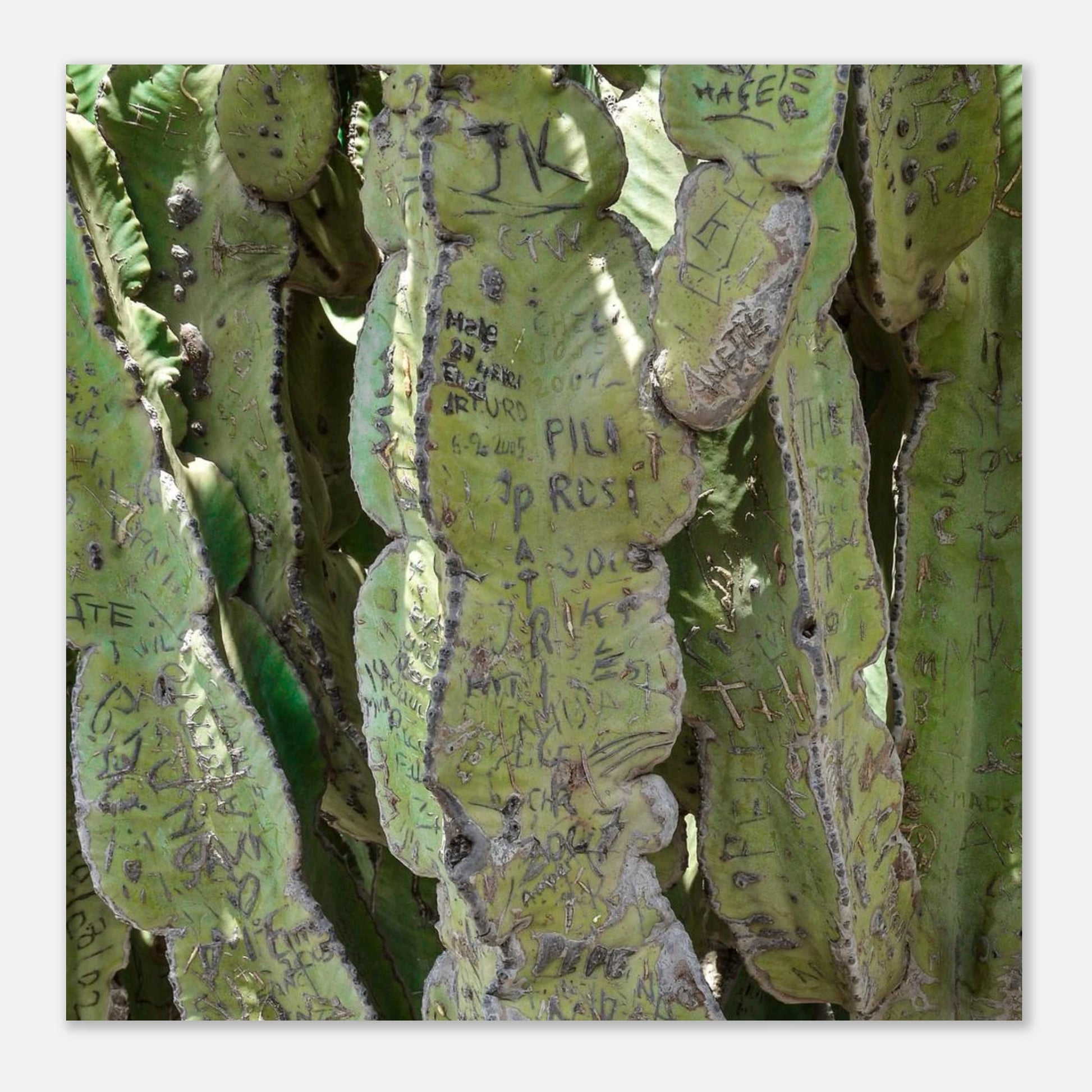 a55f8f23-61e5-4995-b7da-b0a8af4ef070