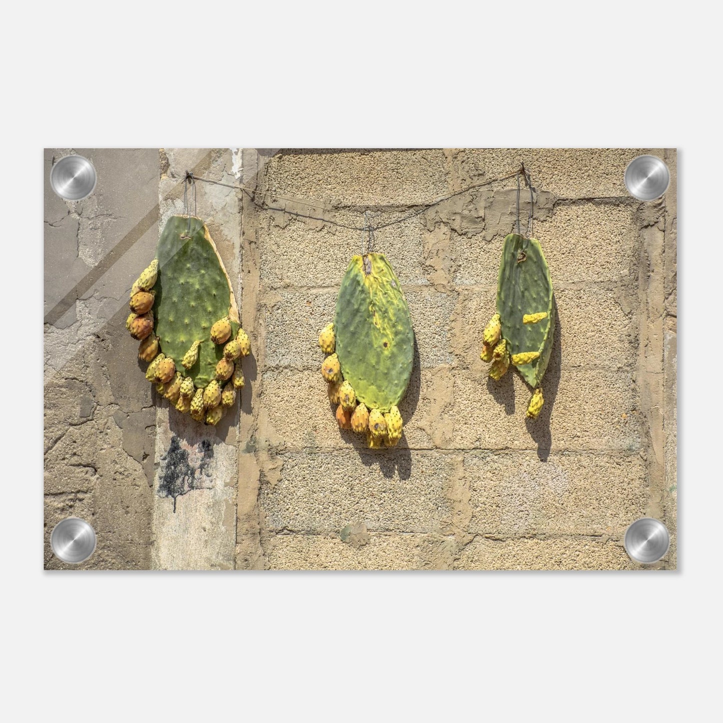 c68319f8-ad9e-414b-a12d-c39979885e8e