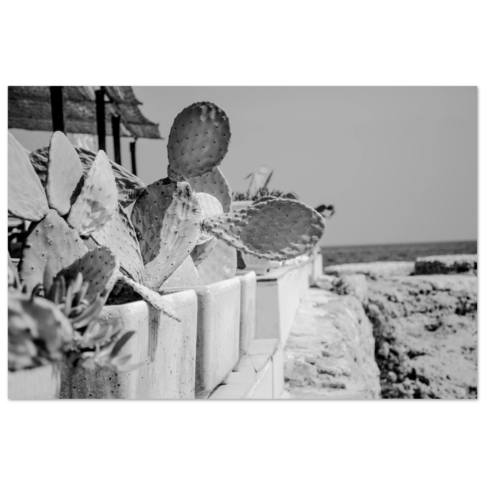 cb16a1ea-027c-49e8-afbb-c2b8041f8ff1