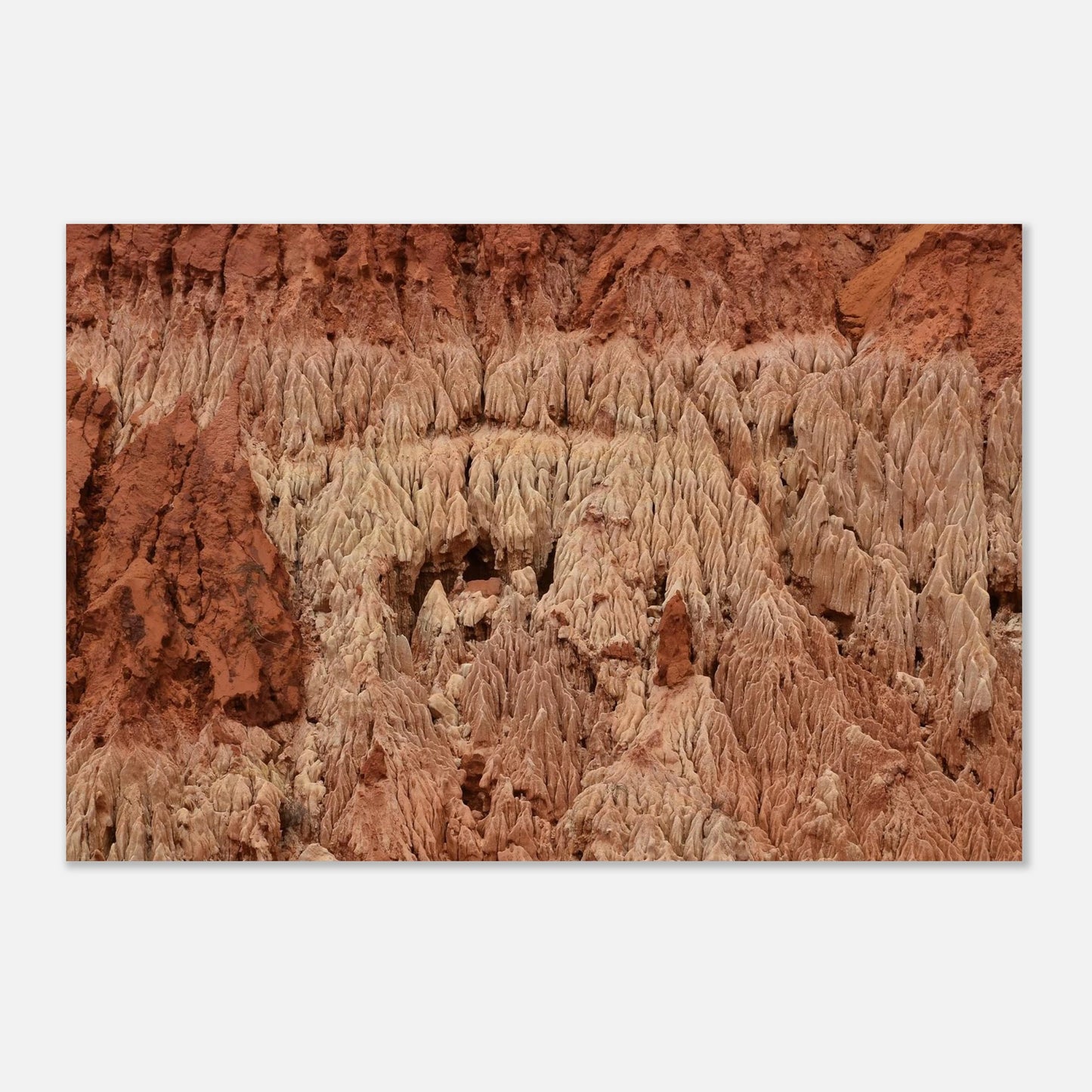 ceb62d14-91f6-492a-a5f0-345d5b30badd