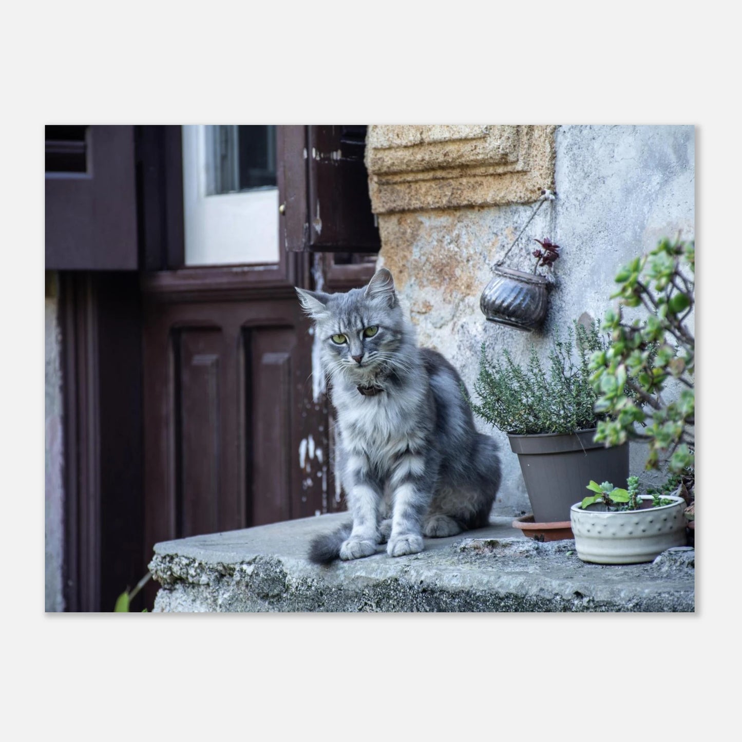 cf7f81b8-d28c-4364-accc-f0052d09ad12