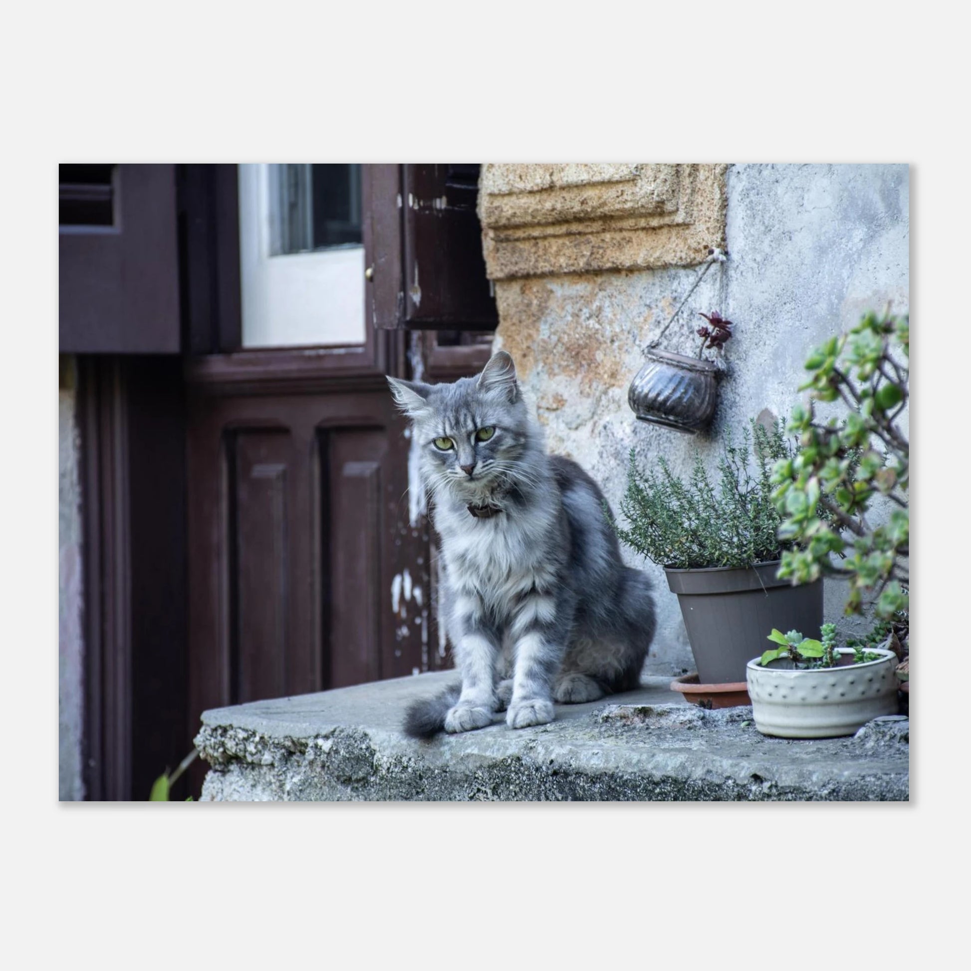 cf7f81b8-d28c-4364-accc-f0052d09ad12