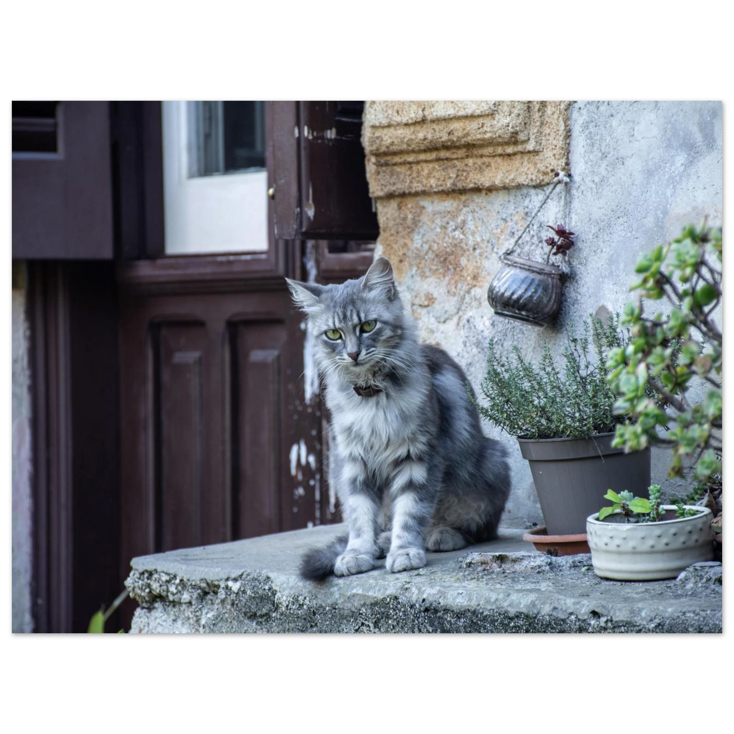 db7c8000-35e2-40dd-8f19-812354ec9486