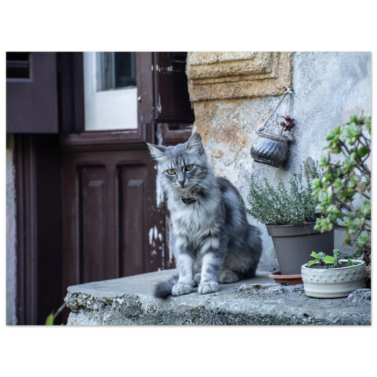 db7c8000-35e2-40dd-8f19-812354ec9486