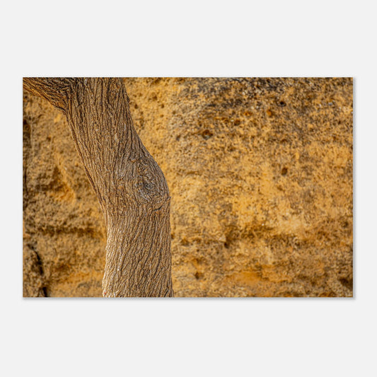 e9788856-ead3-464a-9d0a-1317e411a4b0