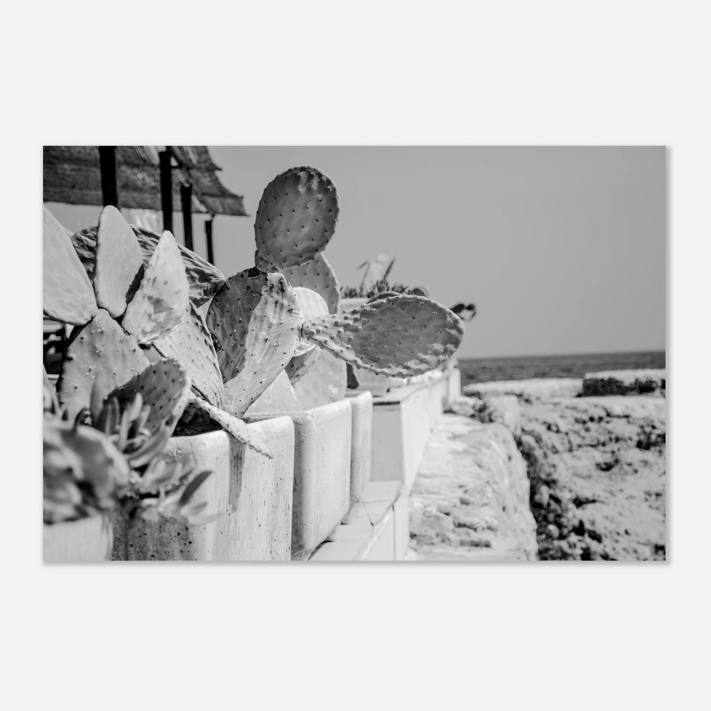 f7813f87-f5b5-41a6-afe6-cc8a11a0045c