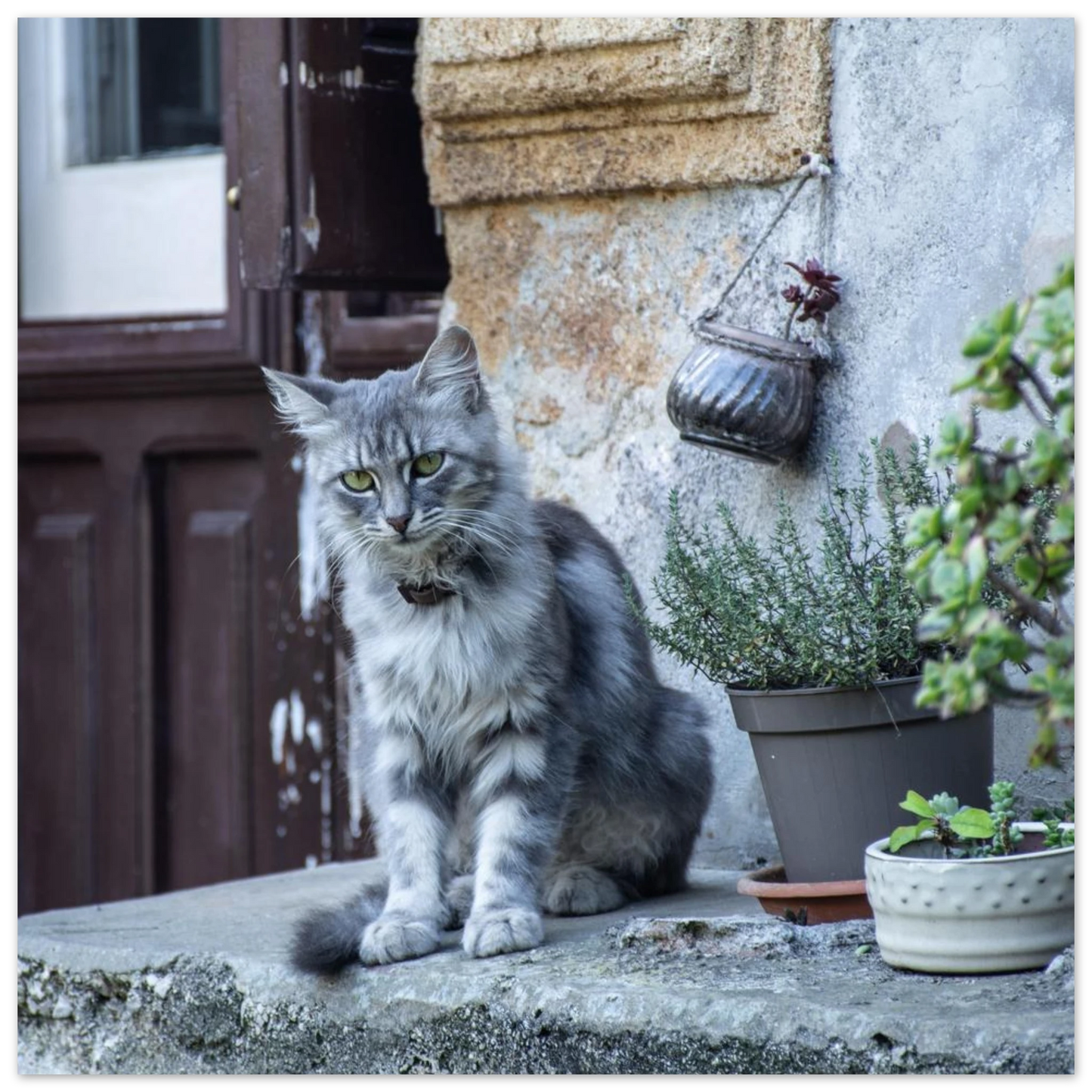 f8b3168f-964d-42c9-a5ec-e749c44958cc