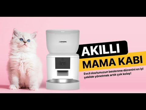 Distributore Automatico di Cibo per Cani e Gatti Xenon Smart 4L con Wi-Fi, Telecamera HD e App