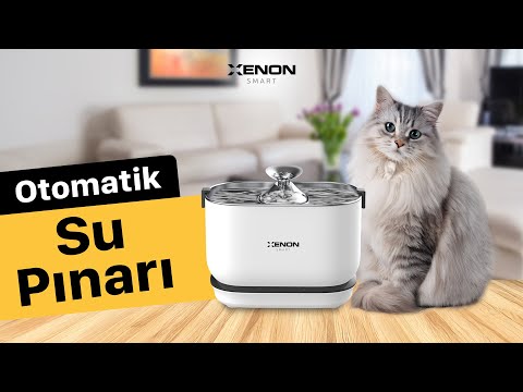 Fontanella Per Cani e Gatti Smat X8652 in Acciaio con Batteria